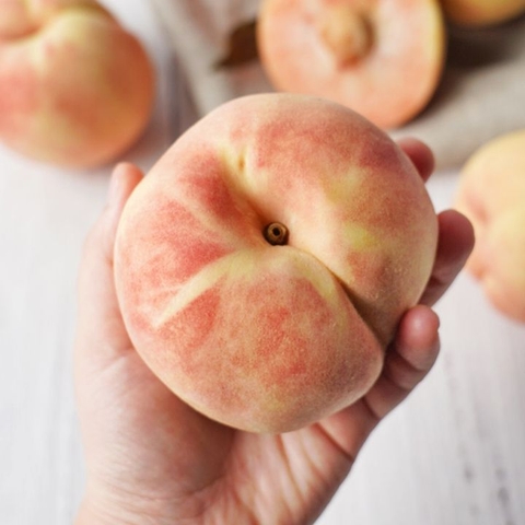 [쫀복] 대황모 4kg 대표이미지 0번째