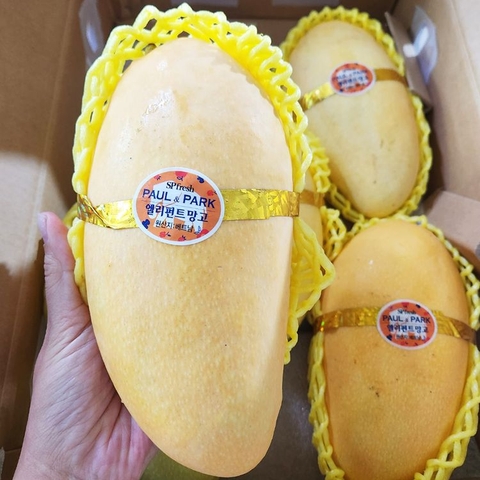 프리미엄 코끼리망고  대표이미지 0번째