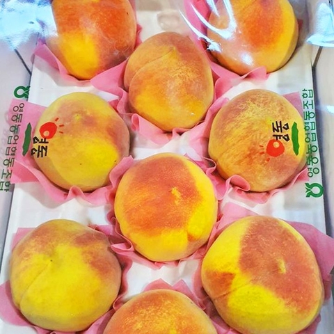 양홍장 복숭아 (황도 쫀복) 대표이미지 0번째