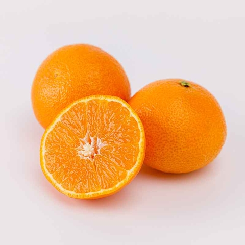 [무료배송] 제주 천혜향 가정용 2.5kg 대표이미지 0번째