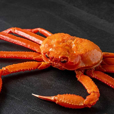 러시아 앙골라투스 타이탄 활 홍게 3kg (2~3미) 대표이미지 1번째
