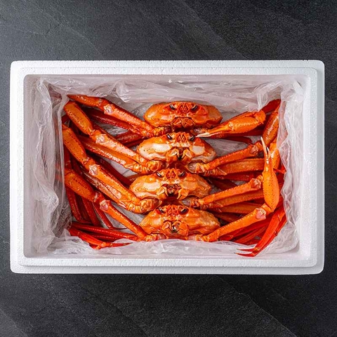 러시아 앙골라투스 타이탄 활 홍게 3kg (2~3미) 대표이미지 3번째