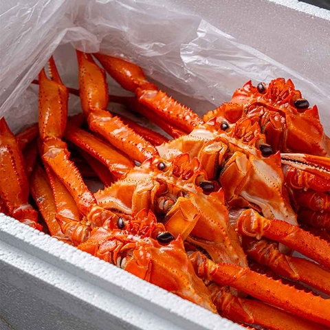러시아 앙골라투스 타이탄 활 홍게 3kg (2~3미) 대표이미지 0번째