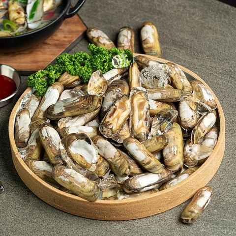 쫄깃하고 신선한 국내 자연산 생물 맛조개 대표이미지 0번째