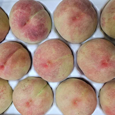 [로얄과] 아카스키 백도 쫀복 4kg 로얄과 (11~12과) 대표이미지 0번째